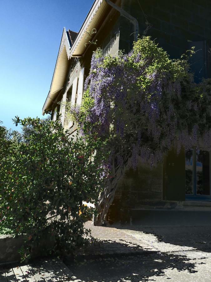 Saint-André-de-CubzacDomaine De Monein住宿加早餐旅馆 外观 照片